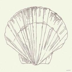 Coastal Breeze Shell Sketches V Silver | Obraz na stenu