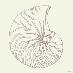 Coastal Breeze Shell Sketches VII Silver | Obraz na stenu