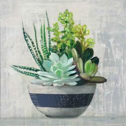 Succulent Still Life II Navy | Obraz na stenu