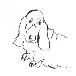Line Dog Basset Hound | Obraz na stenu
