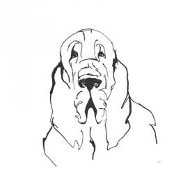 Line Dog Bloodhound II | Obraz na stenu