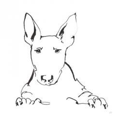 Line Dog Bull Terrier | Obraz na stenu