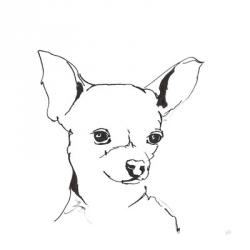 Line Dog Chihuahua | Obraz na stenu