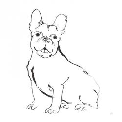 Line Dog French Bulldog II | Obraz na stenu