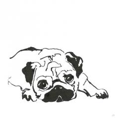 Line Dog Pug II | Obraz na stenu