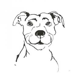 Line Dog Pitbull I | Obraz na stenu
