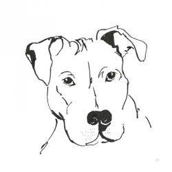 Line Dog Pitbull II | Obraz na stenu