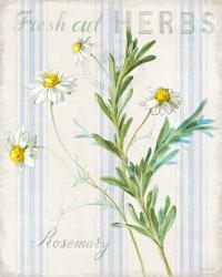 Floursack Herbs I | Obraz na stenu