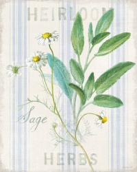 Floursack Herbs III | Obraz na stenu