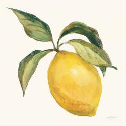 Le Citron on Cream | Obraz na stenu