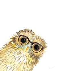 Owl in Glasses | Obraz na stenu