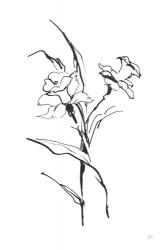 Line Daffodil | Obraz na stenu