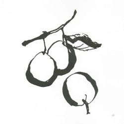 Plums II BW | Obraz na stenu