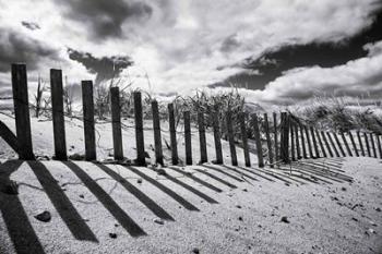 Nantucket Shadows | Obraz na stenu