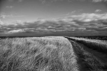 Road to the Beach | Obraz na stenu