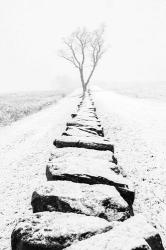 Snowy Stone Wall | Obraz na stenu