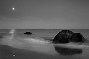 Summer Moon | Obraz na stenu