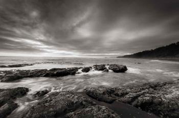 Kalaloch Beach | Obraz na stenu