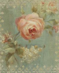 Rose on Sage | Obraz na stenu