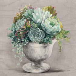 Festive Succulents I Gray | Obraz na stenu