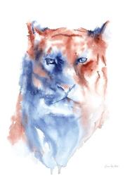 Copper and Blue Lioness | Obraz na stenu