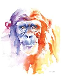 Chimpanzee II | Obraz na stenu