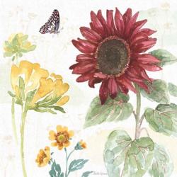 Sunflower Splendor VI | Obraz na stenu