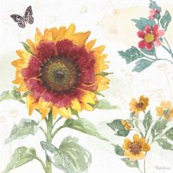 Sunflower Splendor VII | Obraz na stenu
