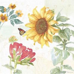 Sunflower Splendor VIII | Obraz na stenu