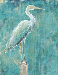 Coastal Egret I Dark | Obraz na stenu