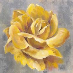 Yellow Roses I | Obraz na stenu