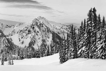 Tatoosh Range BW | Obraz na stenu