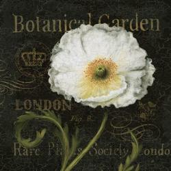 Botanical Garden II | Obraz na stenu