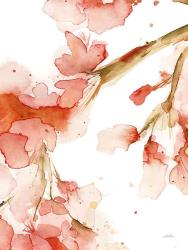 Blossoms I | Obraz na stenu