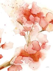Blossoms II | Obraz na stenu