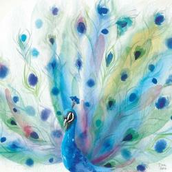 Peacock Glory V | Obraz na stenu