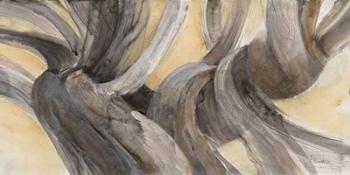 Driftwood III | Obraz na stenu