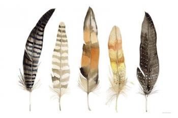 Natural Feathers | Obraz na stenu