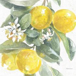 Citrus Charm Lemons I | Obraz na stenu