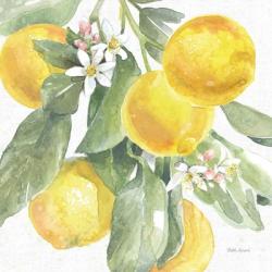 Citrus Charm Lemons II | Obraz na stenu