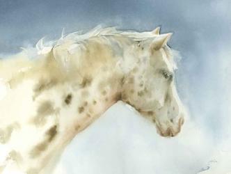 Dapple Gray Horse | Obraz na stenu