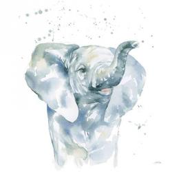 Baby Elephant | Obraz na stenu
