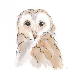 Barn Owl II | Obraz na stenu