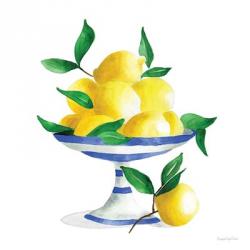 Spanish Lemons II | Obraz na stenu