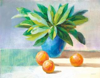 Citrus Still Life | Obraz na stenu