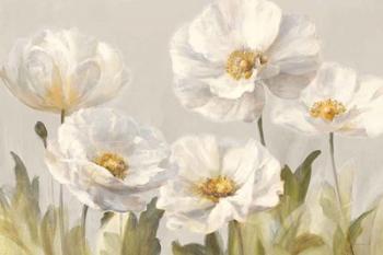 White Anemones | Obraz na stenu