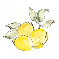 Lemons II | Obraz na stenu