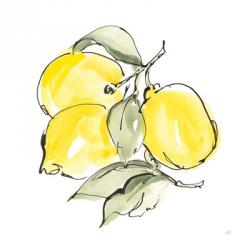 Lemons III | Obraz na stenu