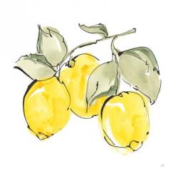 Lemons IV | Obraz na stenu