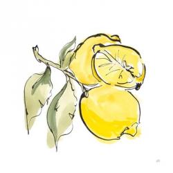 Lemon Still Life II | Obraz na stenu